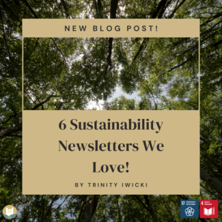 Image of trees with title of blog post overlay, with SDGs #4 and #17